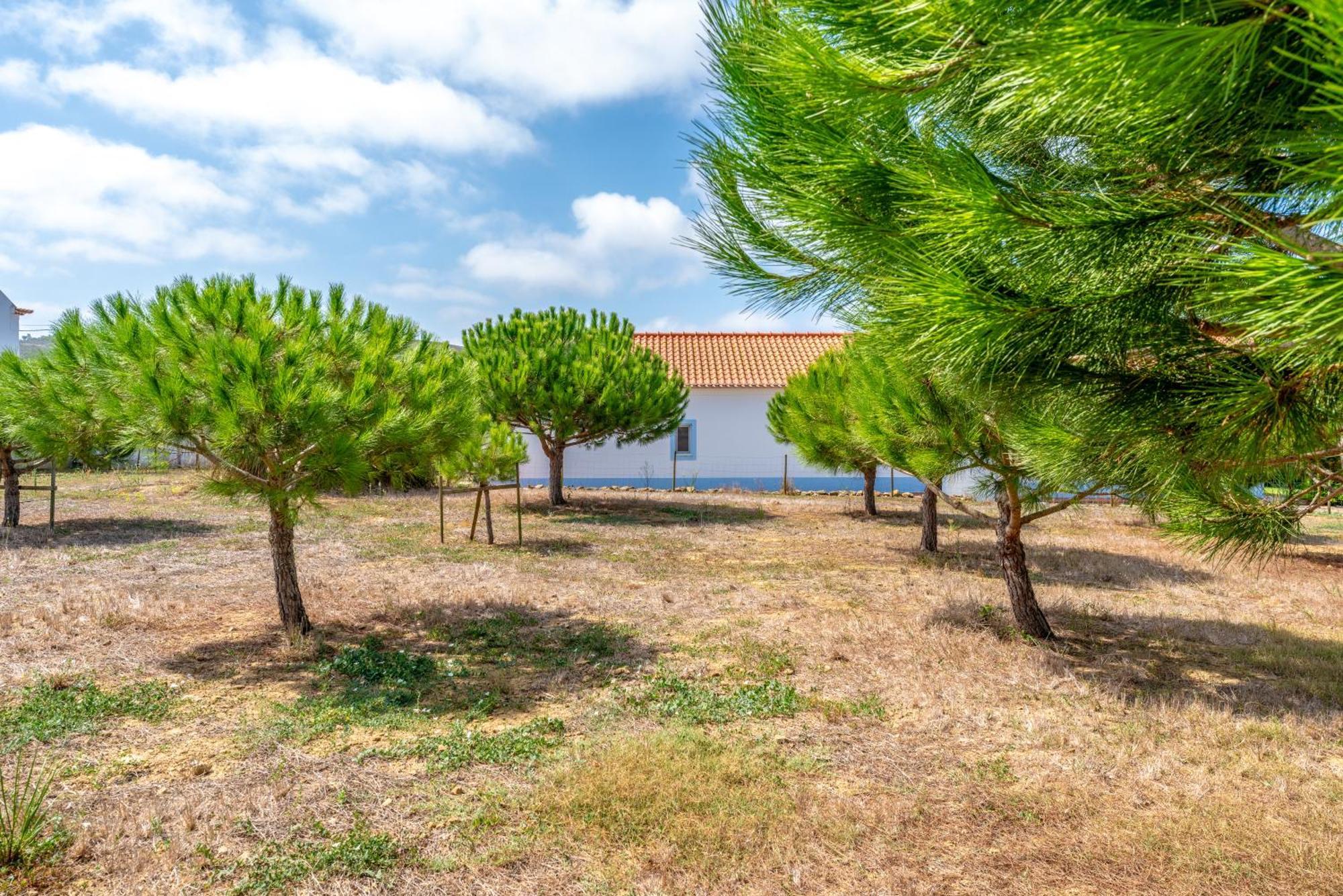 Vila Quinta Da Bela Vista - Ericeira Galiza Exteriér fotografie